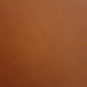 Meet your Posher, Latoria